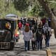 Repunta la afluencia en el Bosque y Zoológico de la Ciudad y el Ecoparque Laguna México