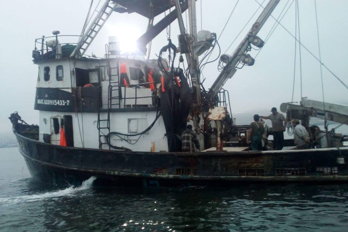 Auxilian a pescador que fue golpeado por embarcación