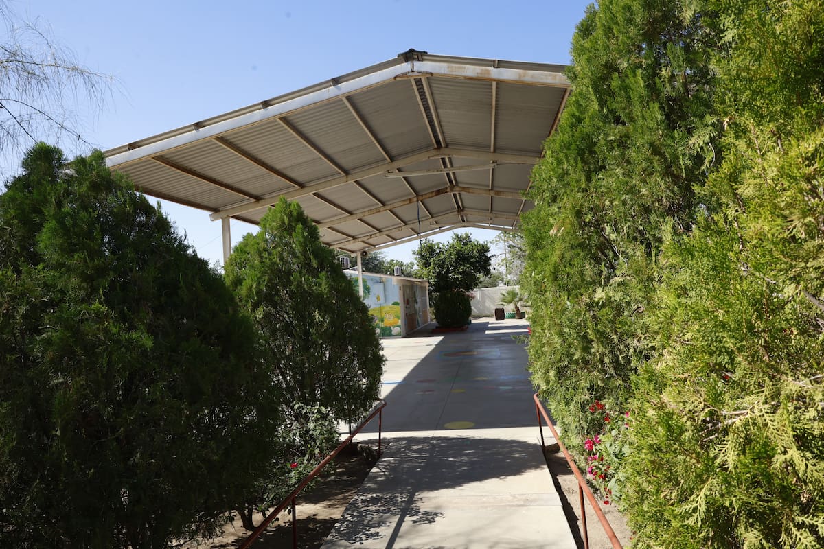 Tienen una semana sin clases por alacranes en kínder Dolores Durazo de Hermosillo