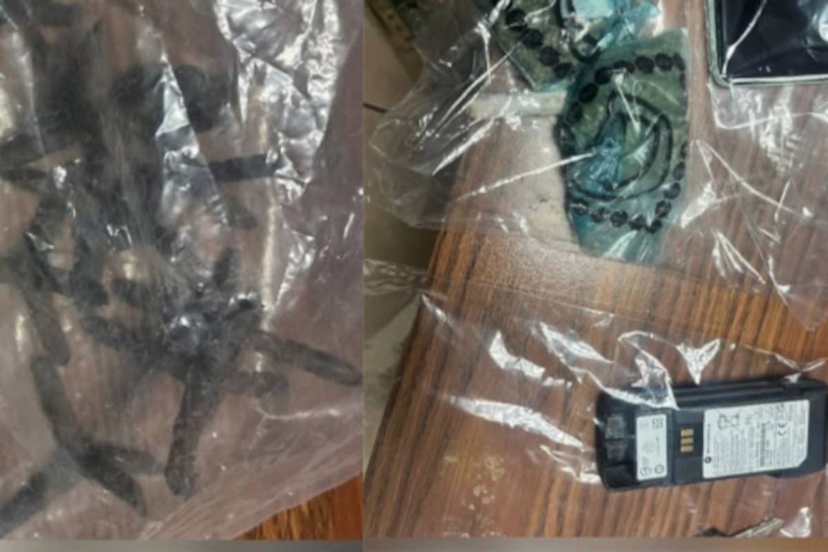 Detienen en Mazatlán a hombre con ponchallantas y presunta marihuana durante operativo interinstitucional
