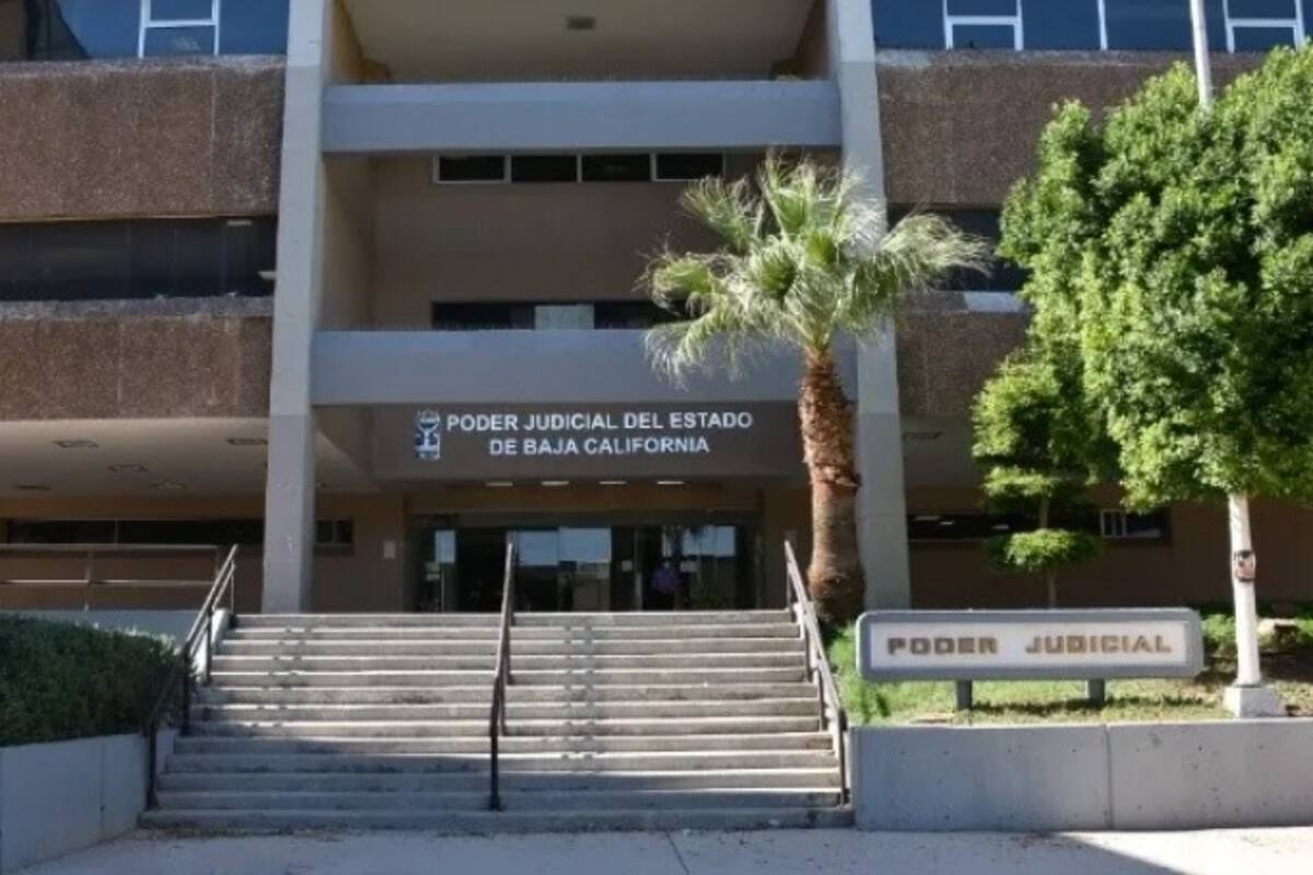 Presentarán reforma para crear juzgados especializados en violencia familiar