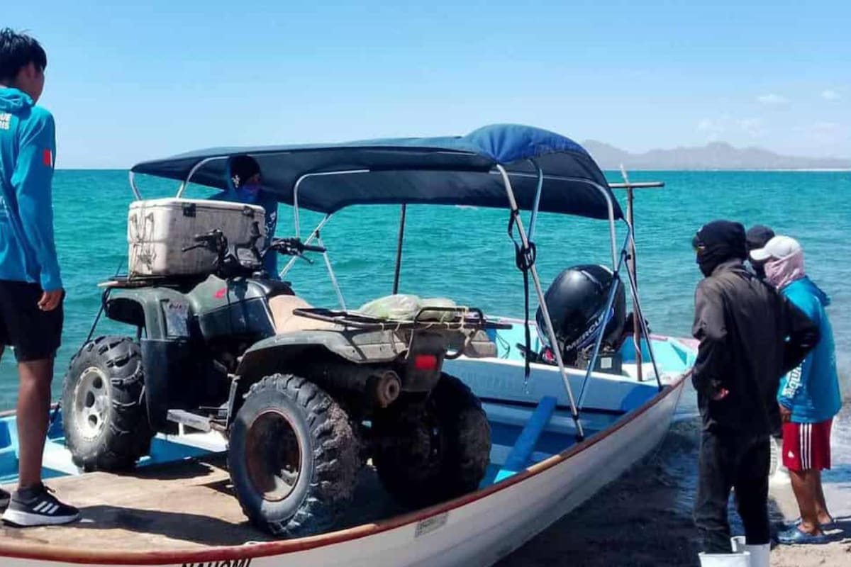 Promueven rifa en Hermosillo para apoyar a grupo que rescata y protege a tortugas