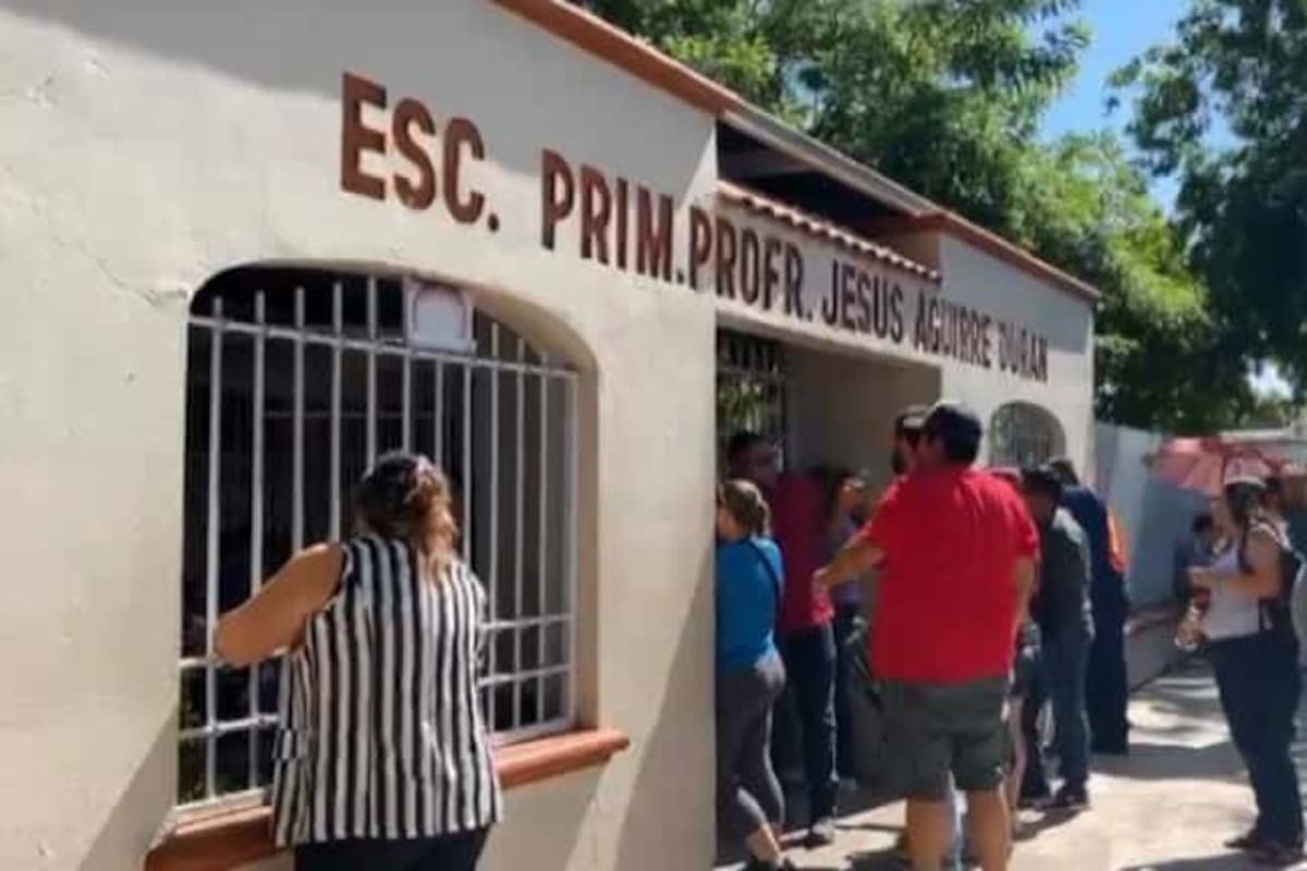 Preocupa presencia de abejas en primaria de CO