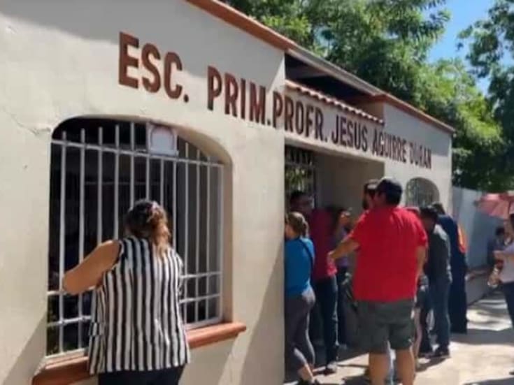 Preocupa presencia de abejas en primaria de CO