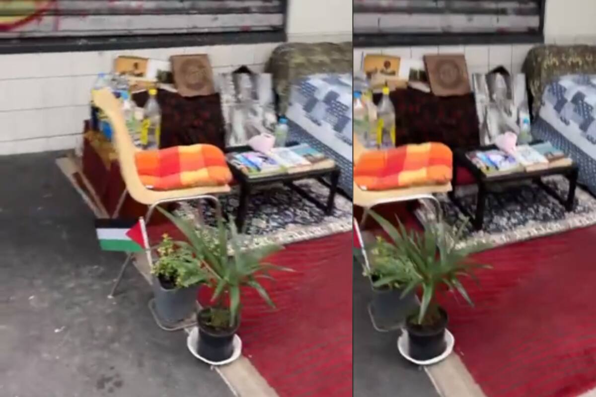 Persona sin hogar sorpende en internet por mantener su rincón en la calle en muy buen estado