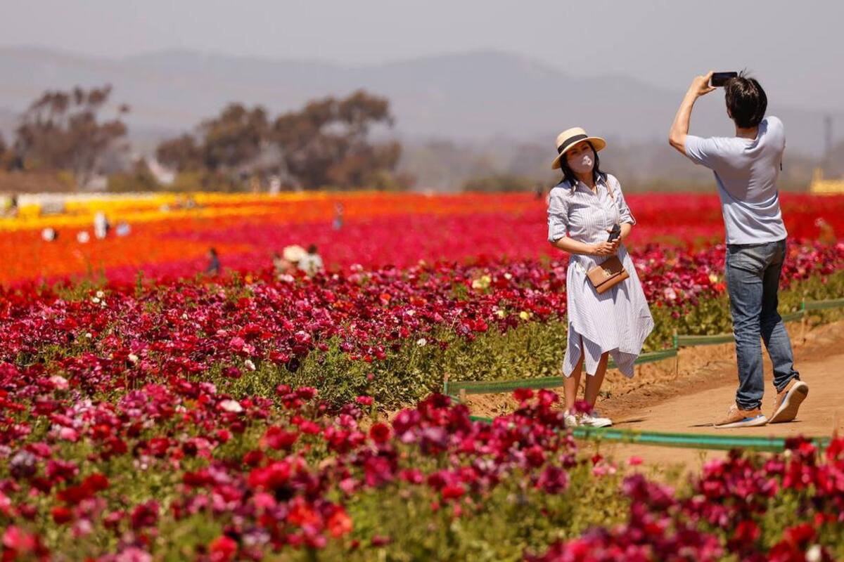 ¡Primavera a la vista en San Diego!
