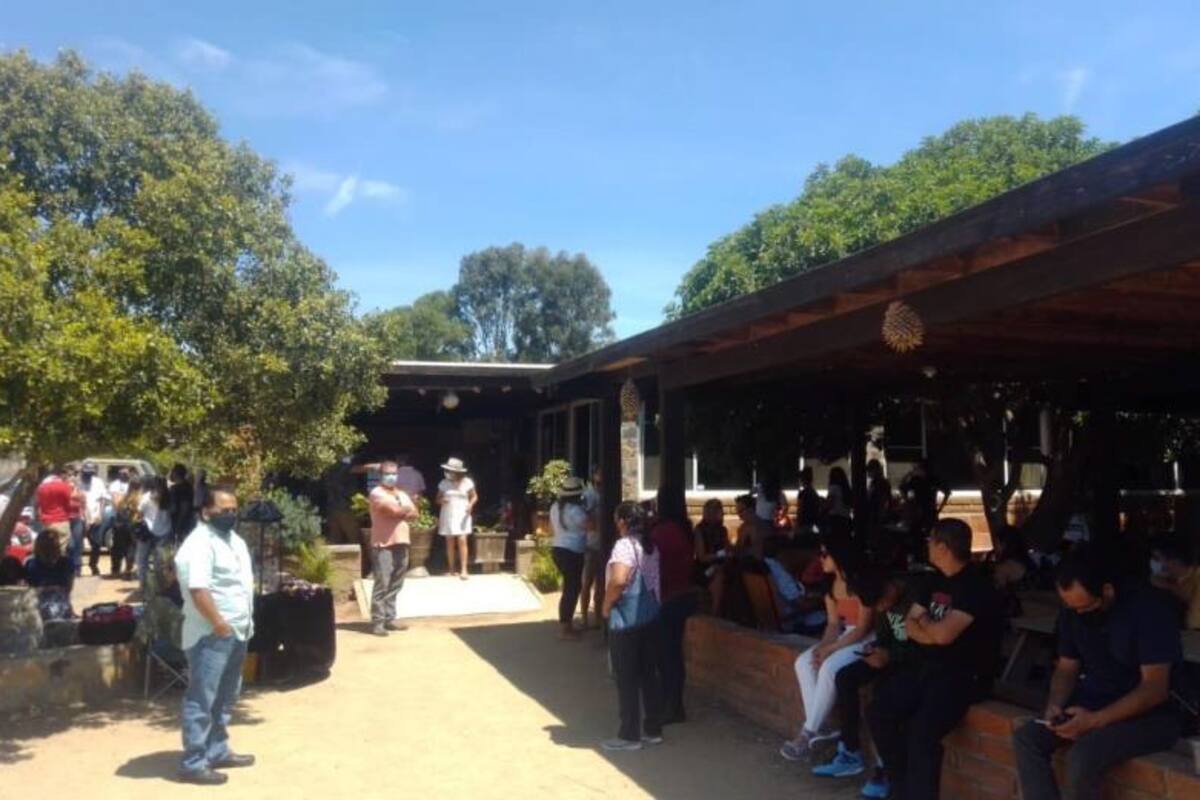 Denuncian aglomeración en restaurante de Valle de Guadalupe