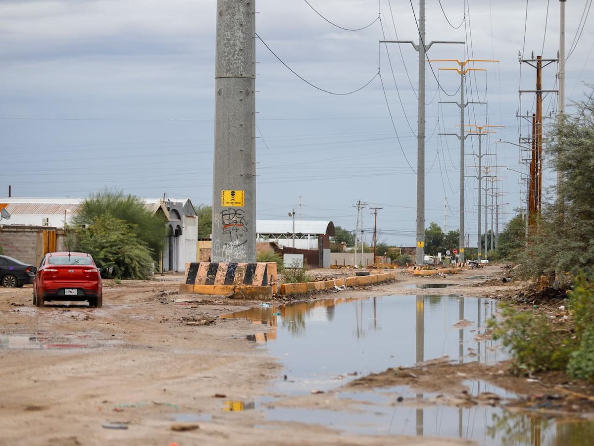 Foto: Juan J. Morales.