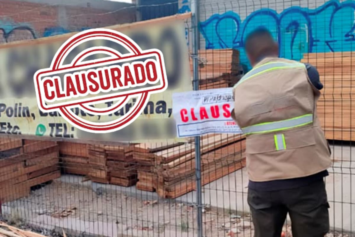 Clausuran maderería ilegal en Querétaro: operaba sin permiso y con madera de dudosa procedencia