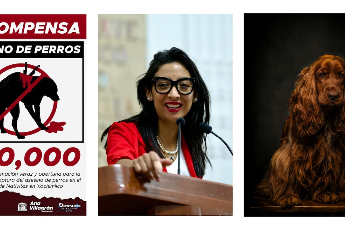 Diputada del PAN en CDMX ofrece recompensa por asesino serial de ‘lomitos’ en Xochimilco