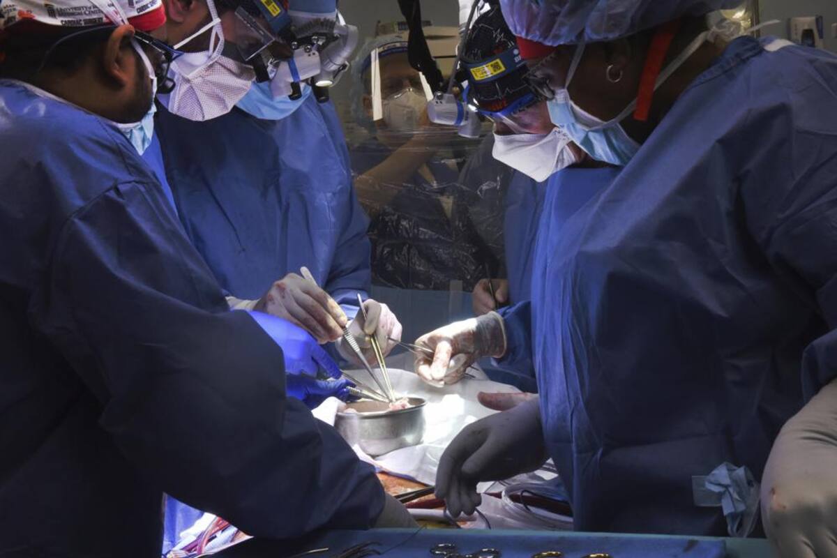 Cirujanos estadounidenses trasplantan corazón de cerdo a paciente humano