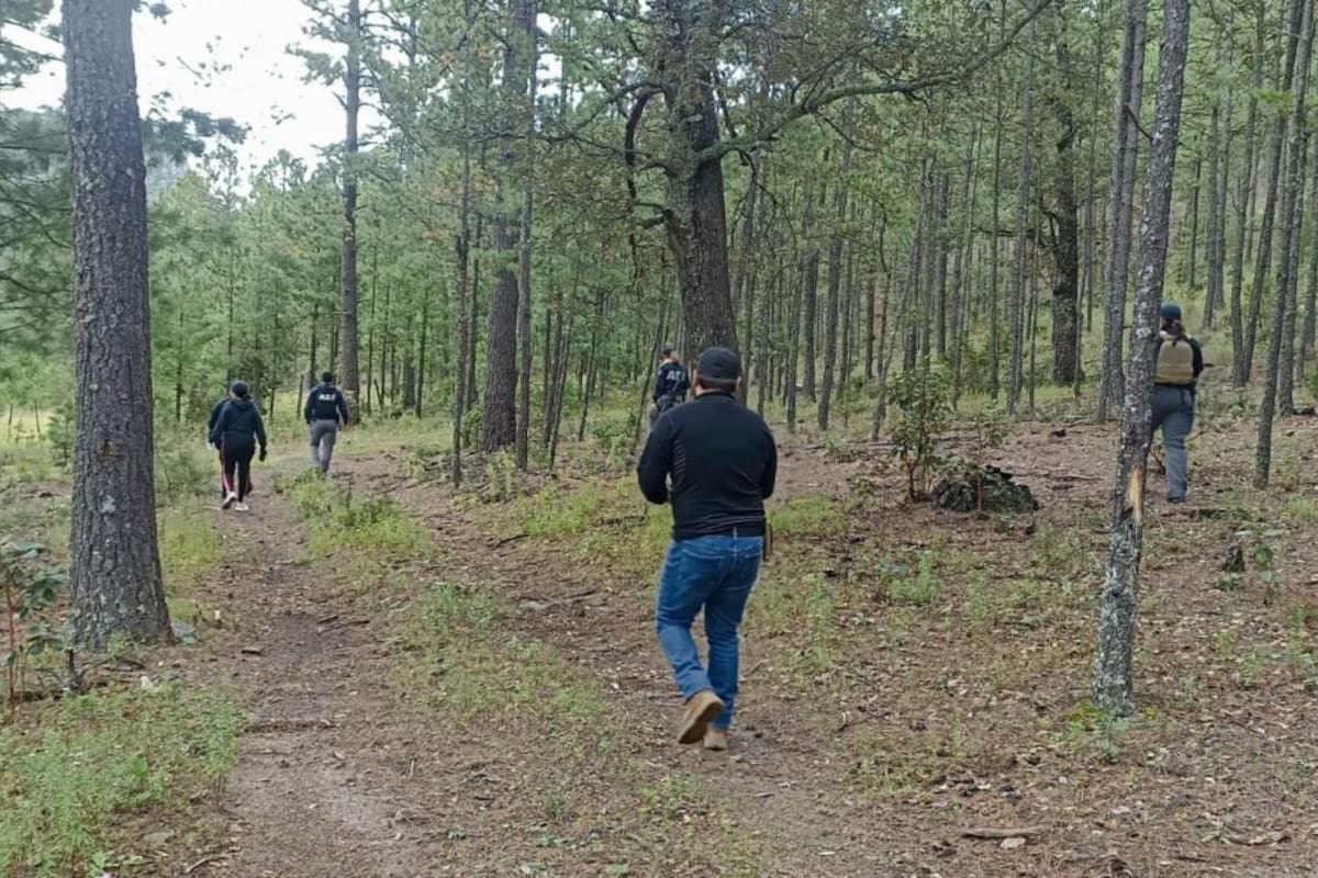 Fiscalía de Chihuahua localiza restos óseos en operativo de búsqueda en Balleza