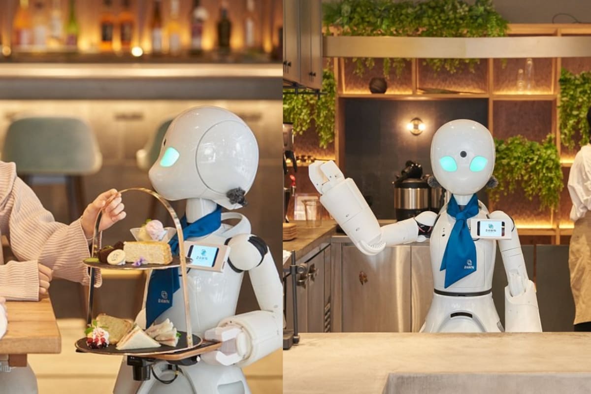 Café con meseros robot revoluciona el empleo para personas con discapacidad: descubre cómo