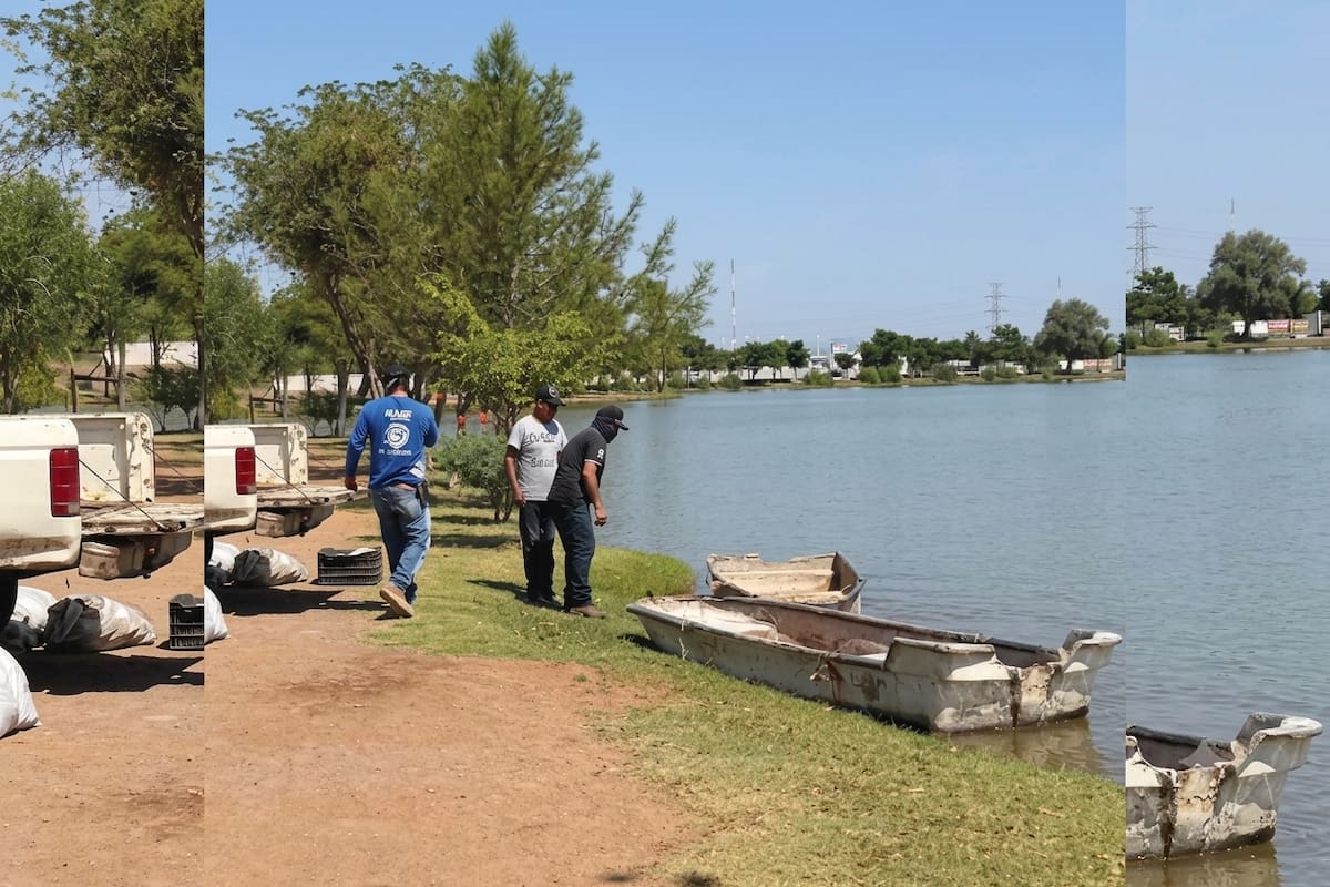 Sacan al pez diablo de la Laguna del Náinari