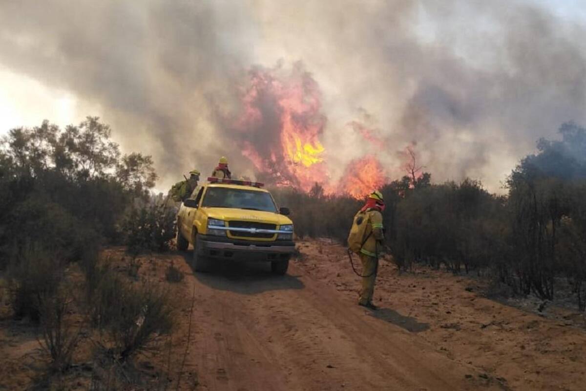 Secretaría del Campo emite recomendaciones para prevenir incendios forestales en Caja California