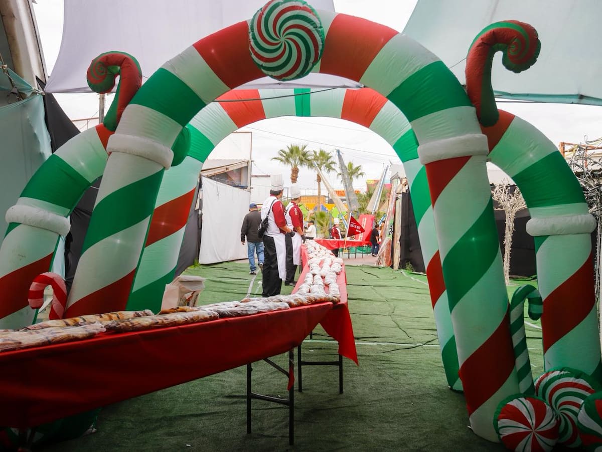 Foto: Juan J. Morales.