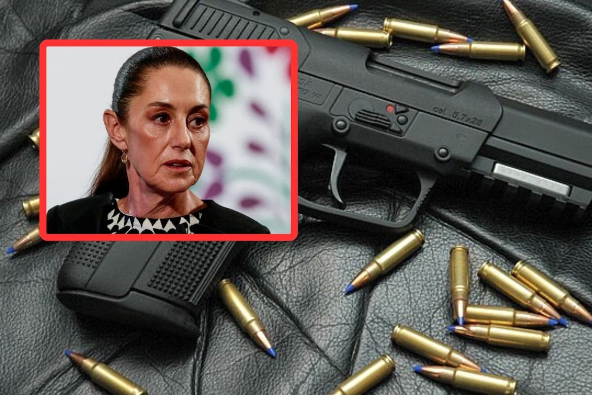 Ciudadanos entregan más de 6 mil armas en programa de canje voluntario: Segob