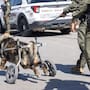 Agente canino “Vico” se retira de la FESC por enfermedad degenerativa