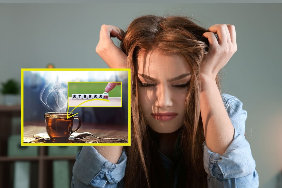 Este es el té más efectivo para combatir el estrés y aliviar dolores de cabeza