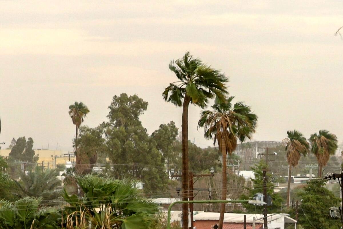 Advierte Protección Civil de BC por condición de Santa Ana en la región
