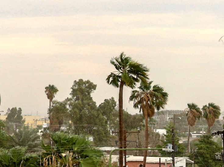 Hacen llamado a la ciudadanía a mantenerse alerta ante los vientos de Santa Ana