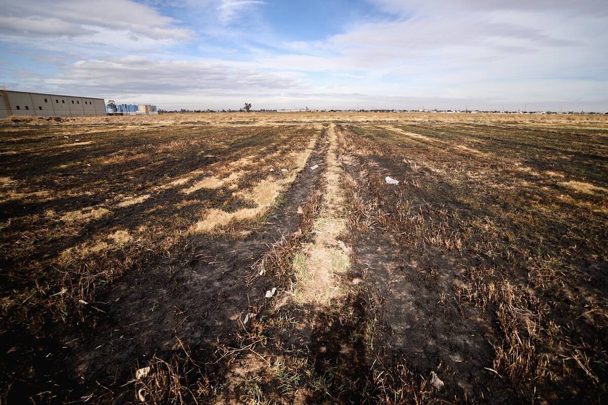 Esperan que reglamento de quemas agrícolas quede este año