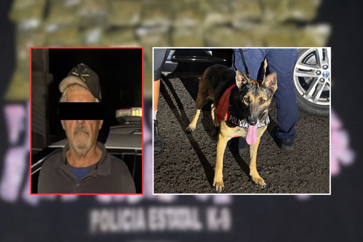 Un reporte ciudadano moviliza a la Policía Estatal en el Centro de Hermosillo y termina con un detenido y 70 envoltorios de presuntas drogas