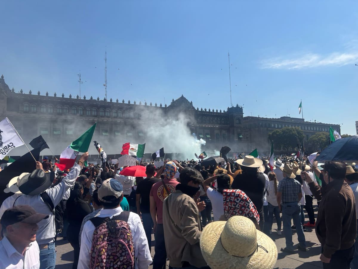La icónica bandera pirata de One Piece, con su calavera y sombrero de paja, se ha convertido en un símbolo de protesta para jóvenes de la Generación Z en México.