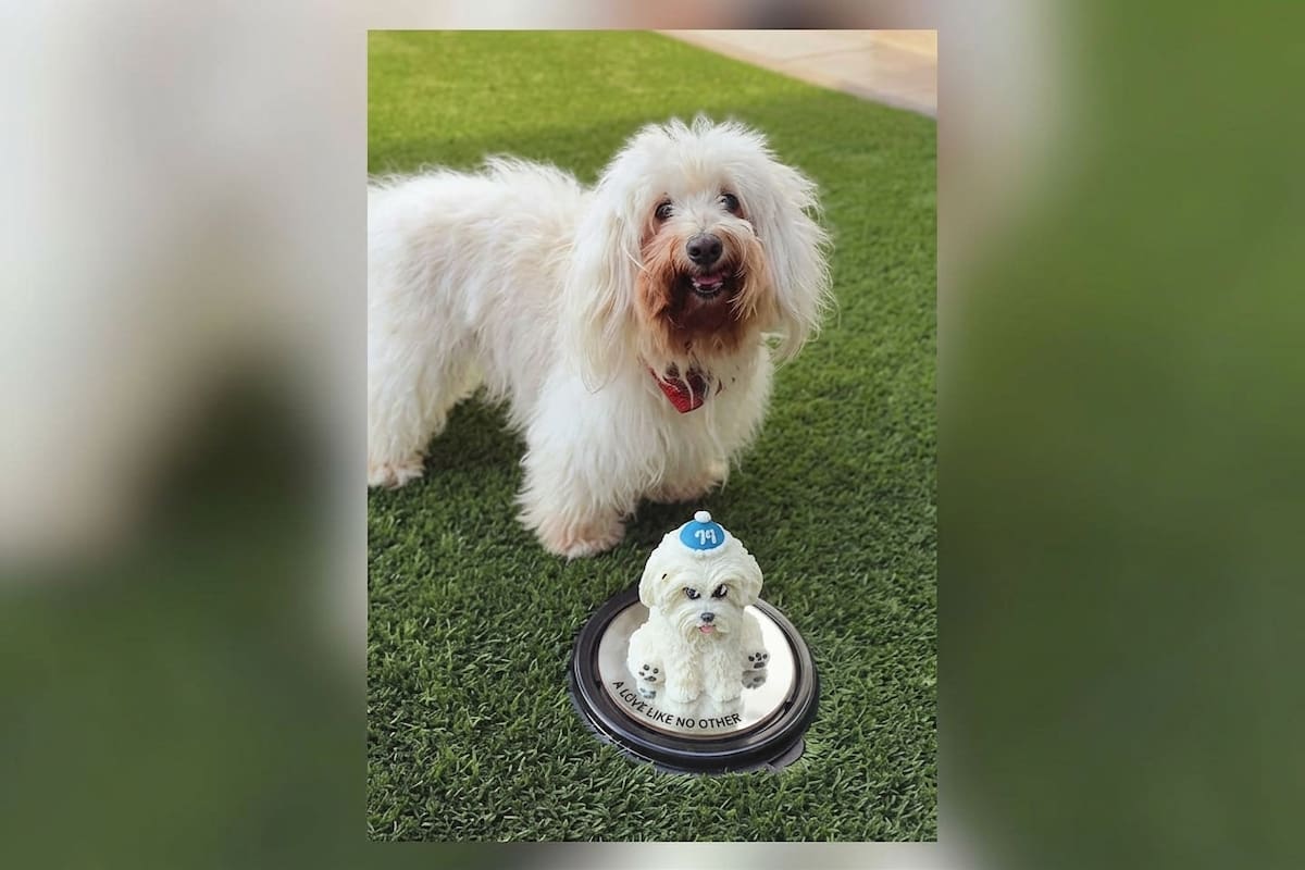 Ofrecen 20 mil pesos de recompensa por “Pancho”
