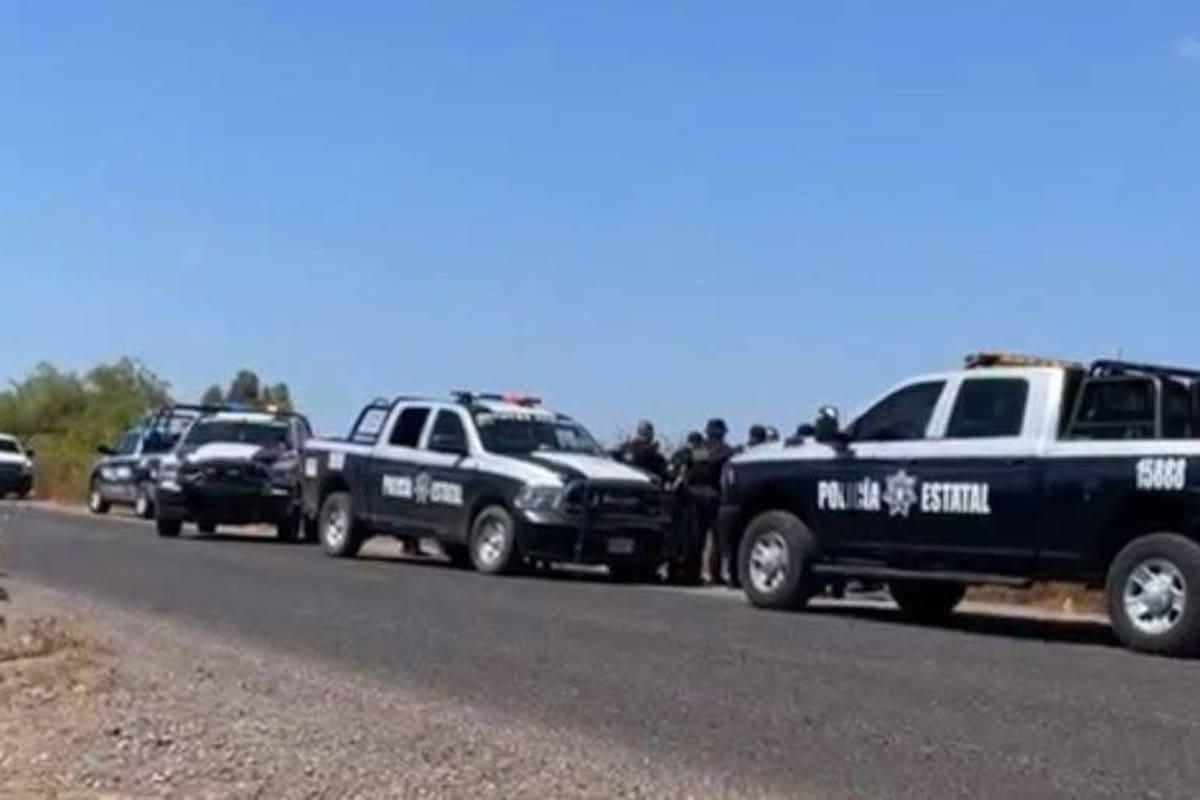 Hallan cuerpo sin vida envuelto en zona agrícola de Cajeme