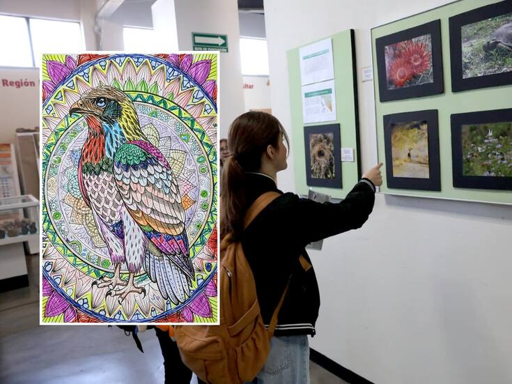 Transforman en arte sus observaciones: presentan en la Unison la exposición “Mujeres, aves y naturaleza” con más de 60 piezas creadas por artistas sonorenses