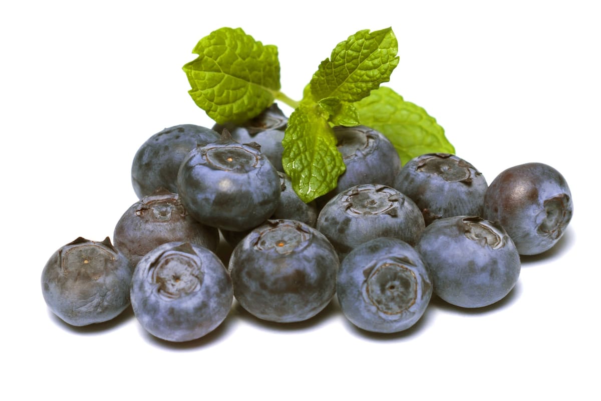 ¿Los arándanos congelados tienen los mismos nutrientes que los frescos?