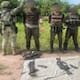 Detienen a 3 civiles armados en Escuinapa durante operativo