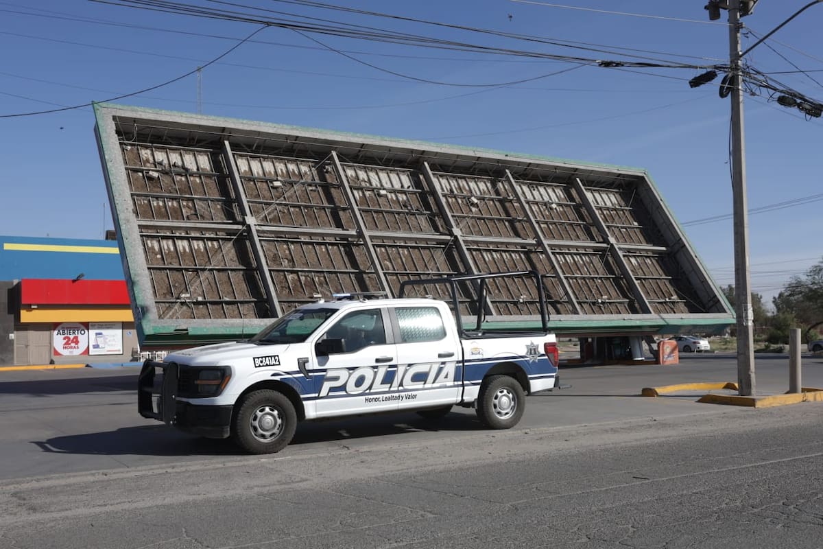 Fuertes vientos de hasta 60 km/h provocan caída de árboles, postes y cortes de luz en Mexicali