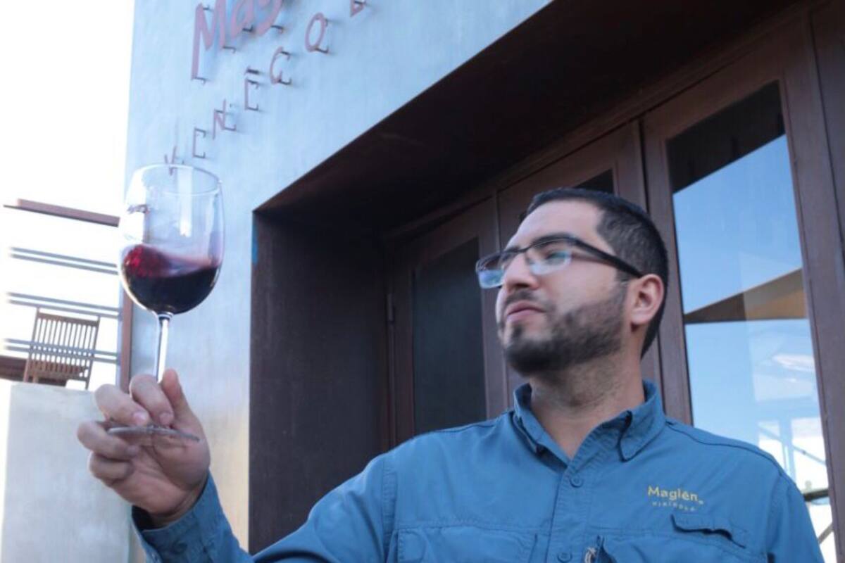 Nebbiolo bajacaliforniano triunfa en el Concurso Mundial de Bruselas