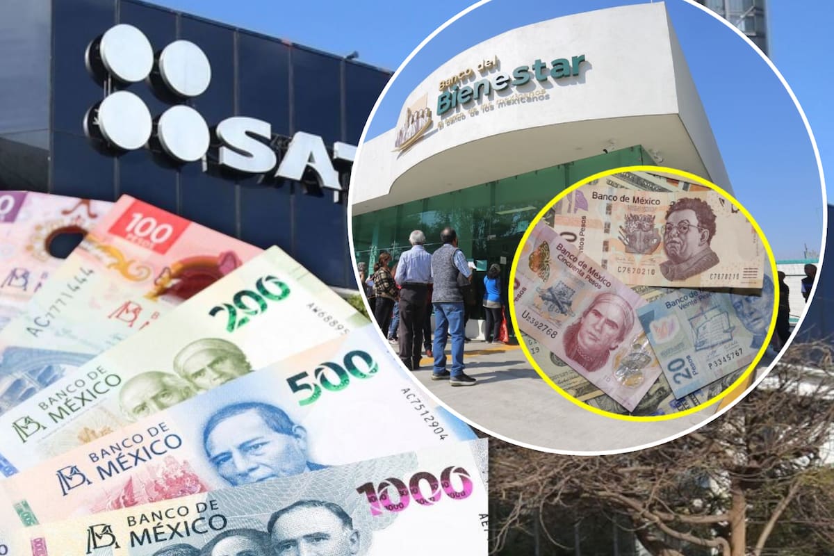 Trabajaban en el SAT y en el Banco del Bienestar pero los multan con 250 mil pesos e inhabilitan durante 10 años como funcionarios por corrupción