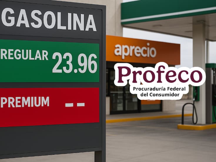 Clausuran 129 gasolineras por irregularidades y despacho de litros incompletos y operativo de Profeco y ASEA se extiende a 24 estados
