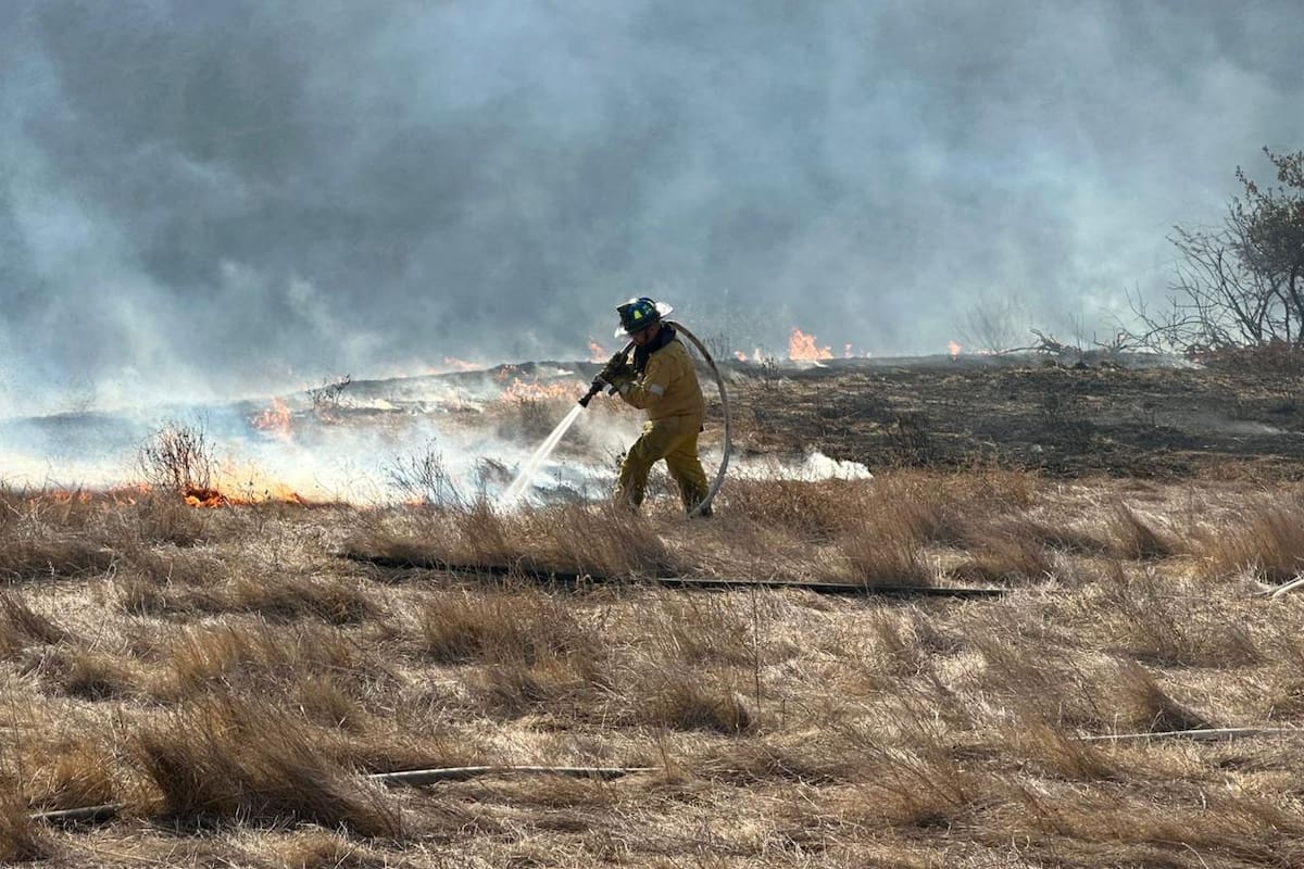 Iniciarán acciones de prevención de incendios forestales en Rosarito