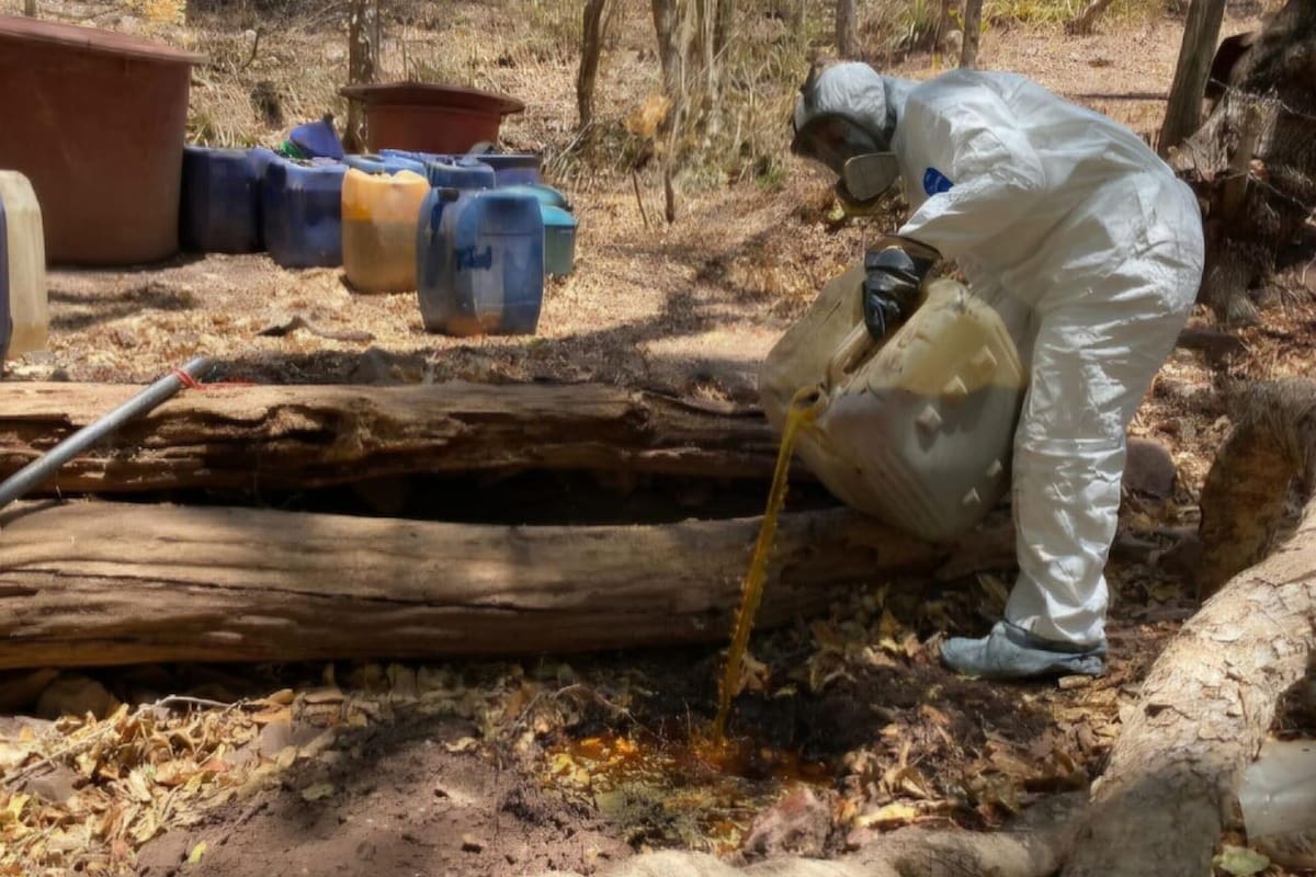 Autoridades aseguran zona de producción de droga sintética en Cosalá, Sinaloa