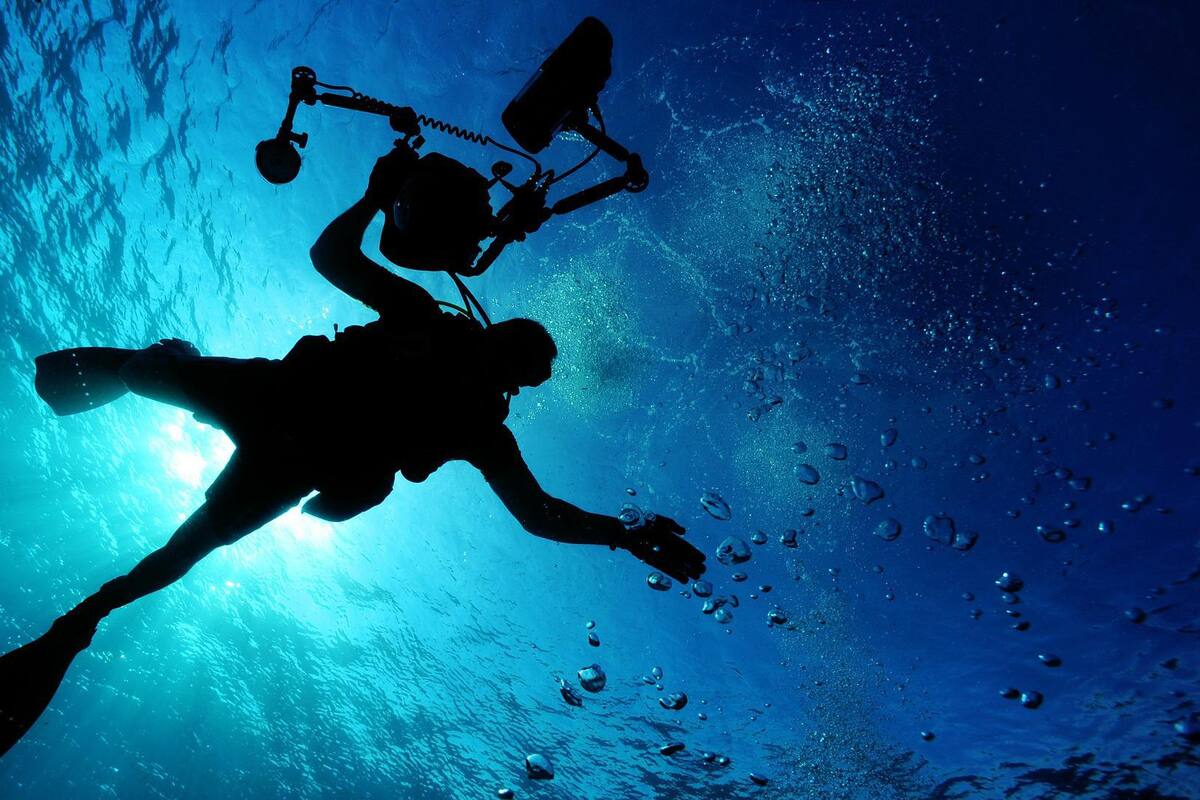 Día del oceanólogo en México: ¿Qué es la Oceanología?