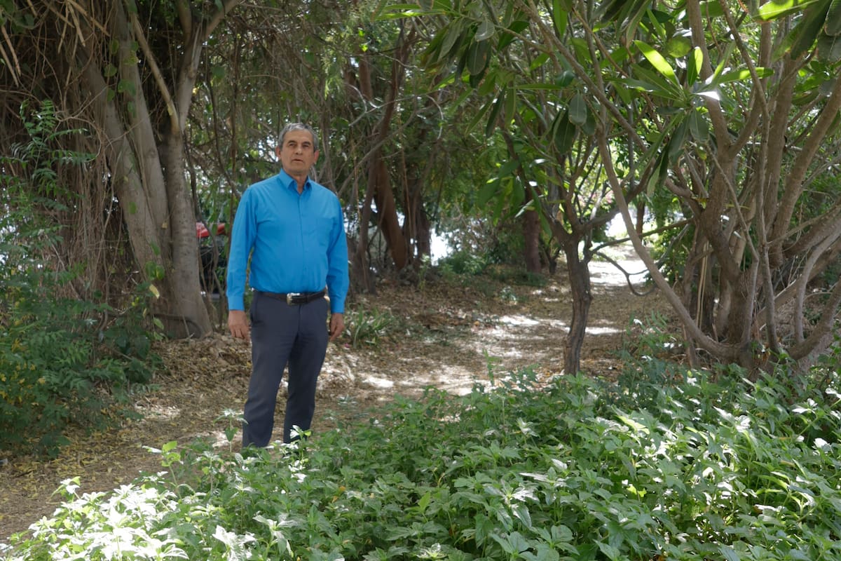 Celebran siete años del Minibosque de la Alegría