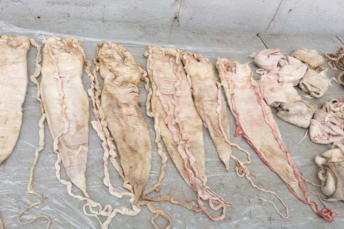Mexicali: Aseguran 49 buches de totoaba