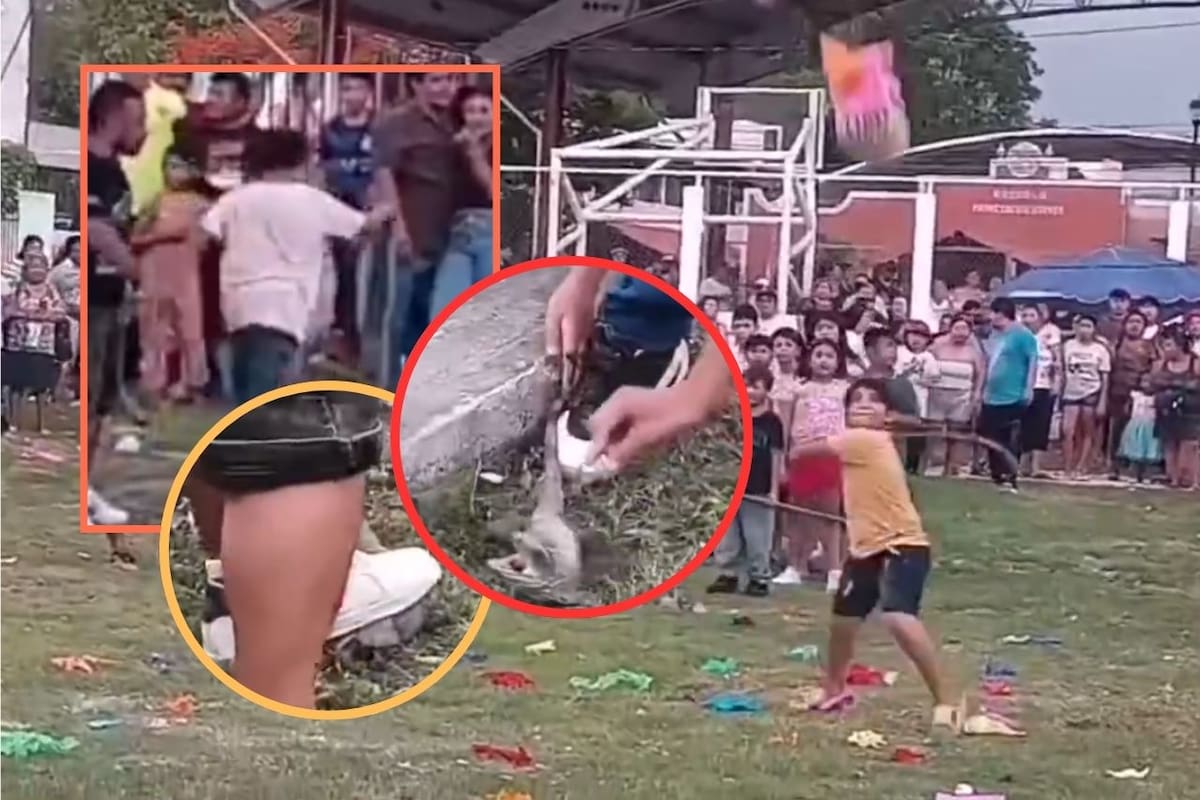 Denuncian uso de animales vivos como piñatas en festejo tradicional en Campeche