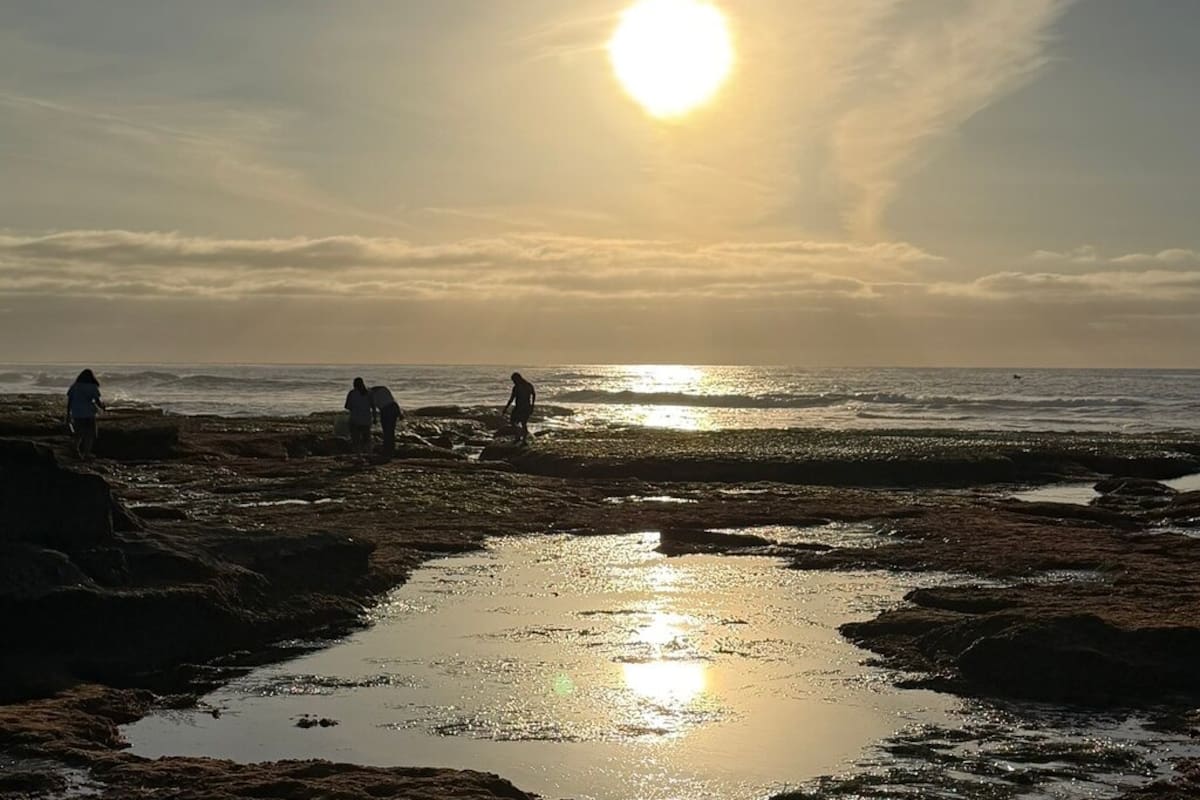 Explora los tide pools de San Diego y aprende sobre conservación marina