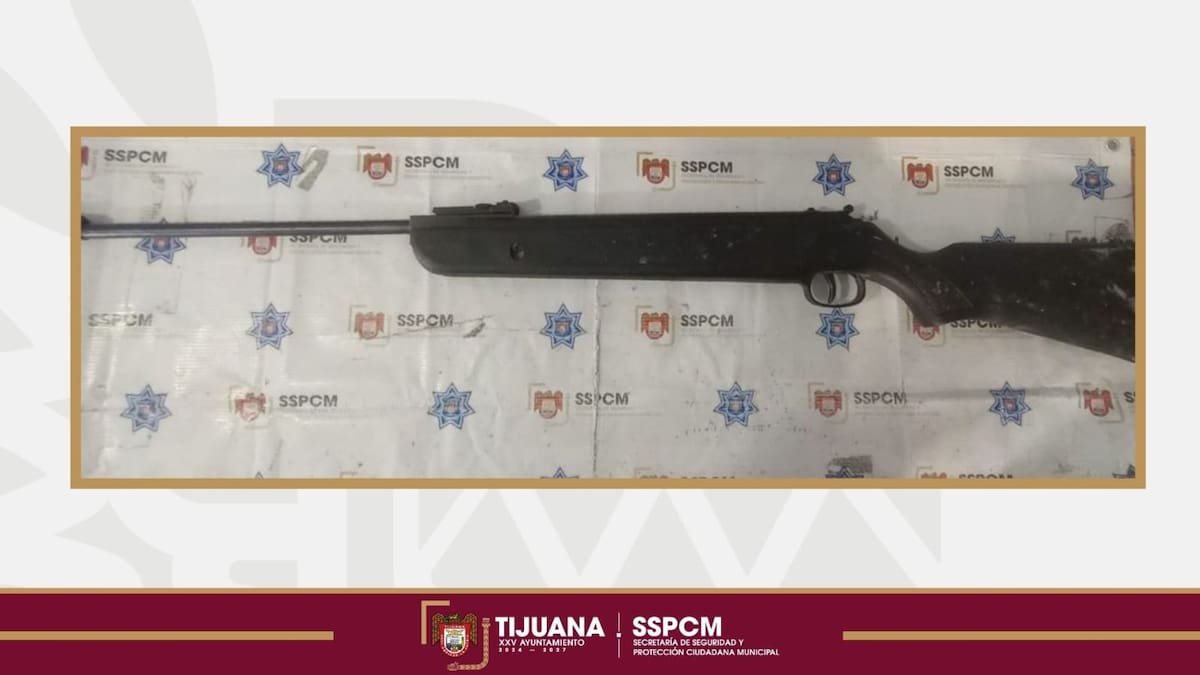 El señalado fue detenido tras presuntamente disparar con un rifle de diábolos contra un gato. Foto: Cortesía