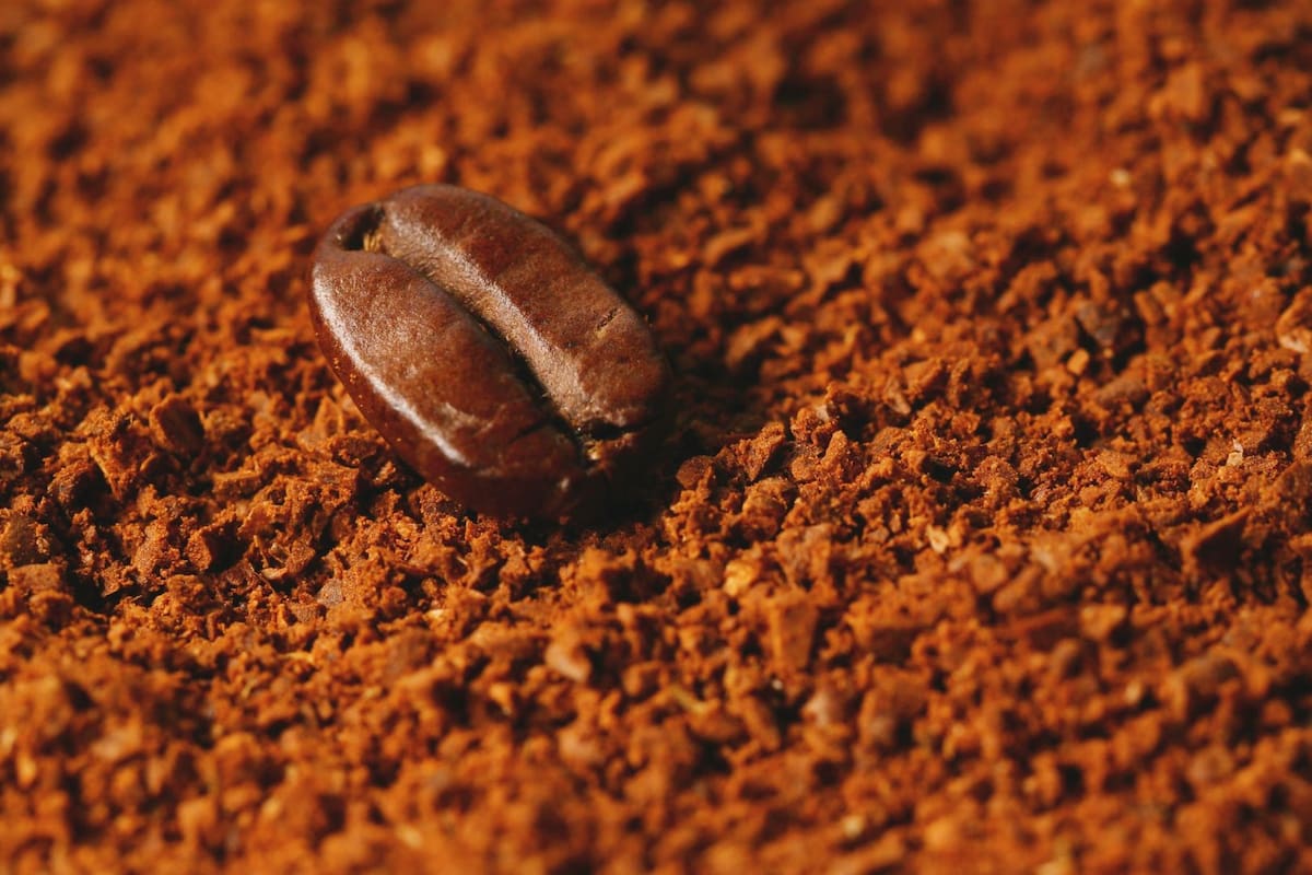 Este es el mejor lugar para guardar el café molido y preservar su sabor