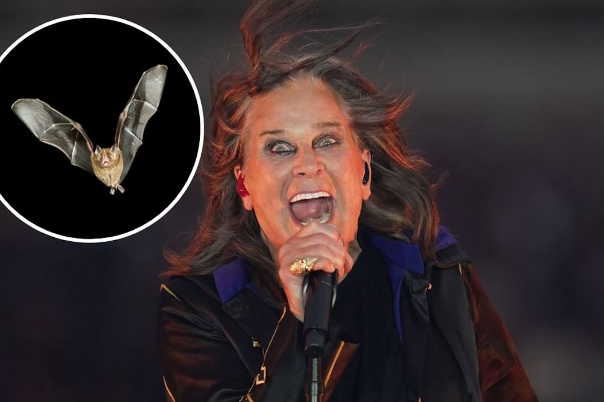 La vez que Ozzy Osbourne le arrancó la cabeza a un murciélago en pleno concierto