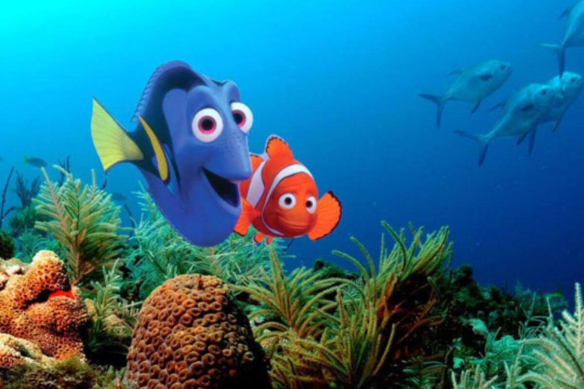 Pixar Animation quiere revivir la franquicia de ‘Buscando a Nemo’, planean enfocarse en secuelas