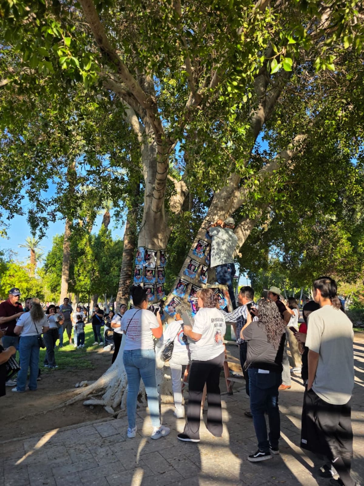 Foto: Cortesía