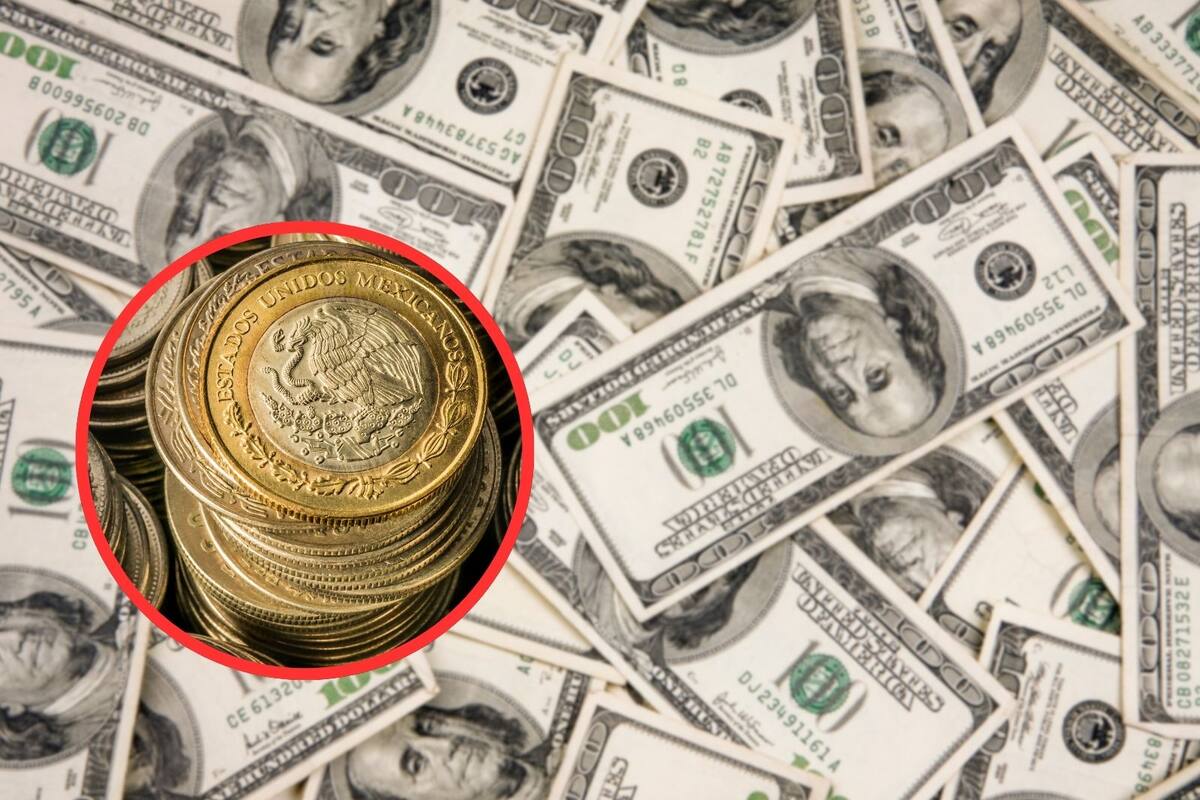 Dólar en México: Así se cotiza el tipo de cambio hoy viernes 14 de febrero de 2025